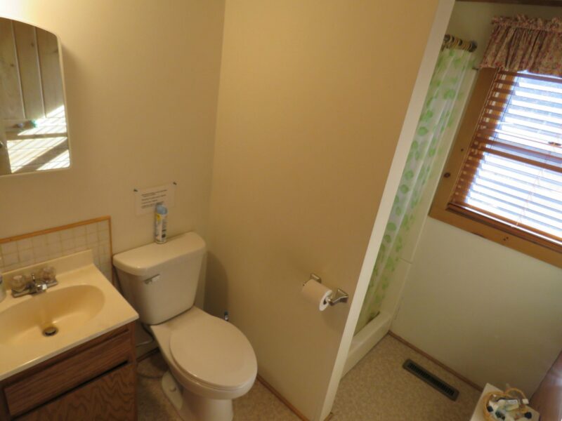 Minnehaha Bathroom